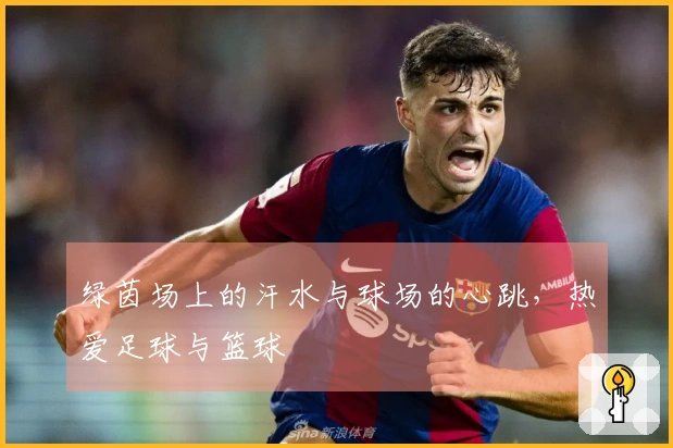 绿茵场上的汗水与球场的心跳，热爱足球与篮球