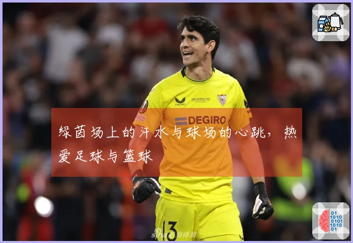 绿茵场上的汗水与球场的心跳，热爱足球与篮球